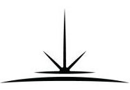 The South Star Consulting